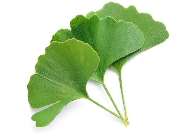 Gluconol ginkgo biloba içerir